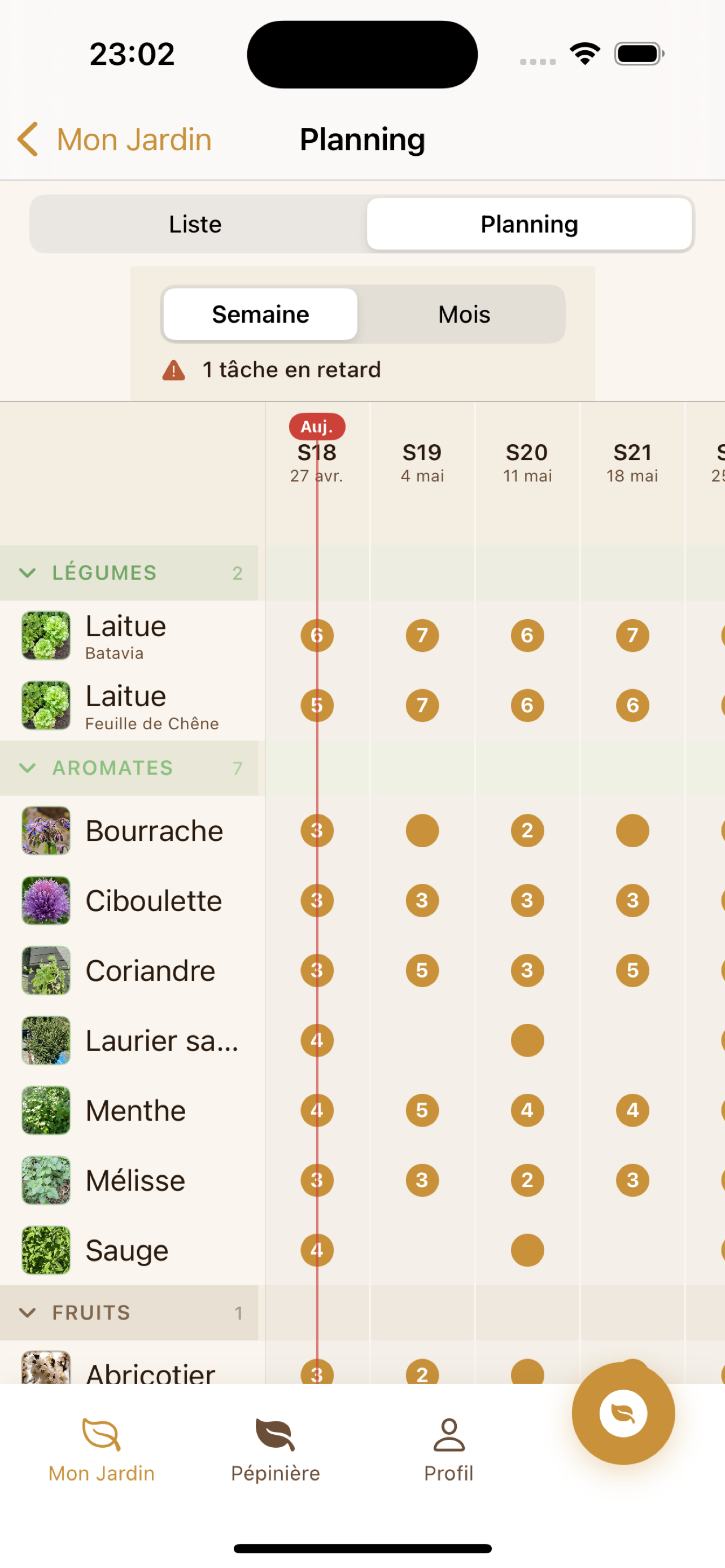 Ta saison vue d'en haut