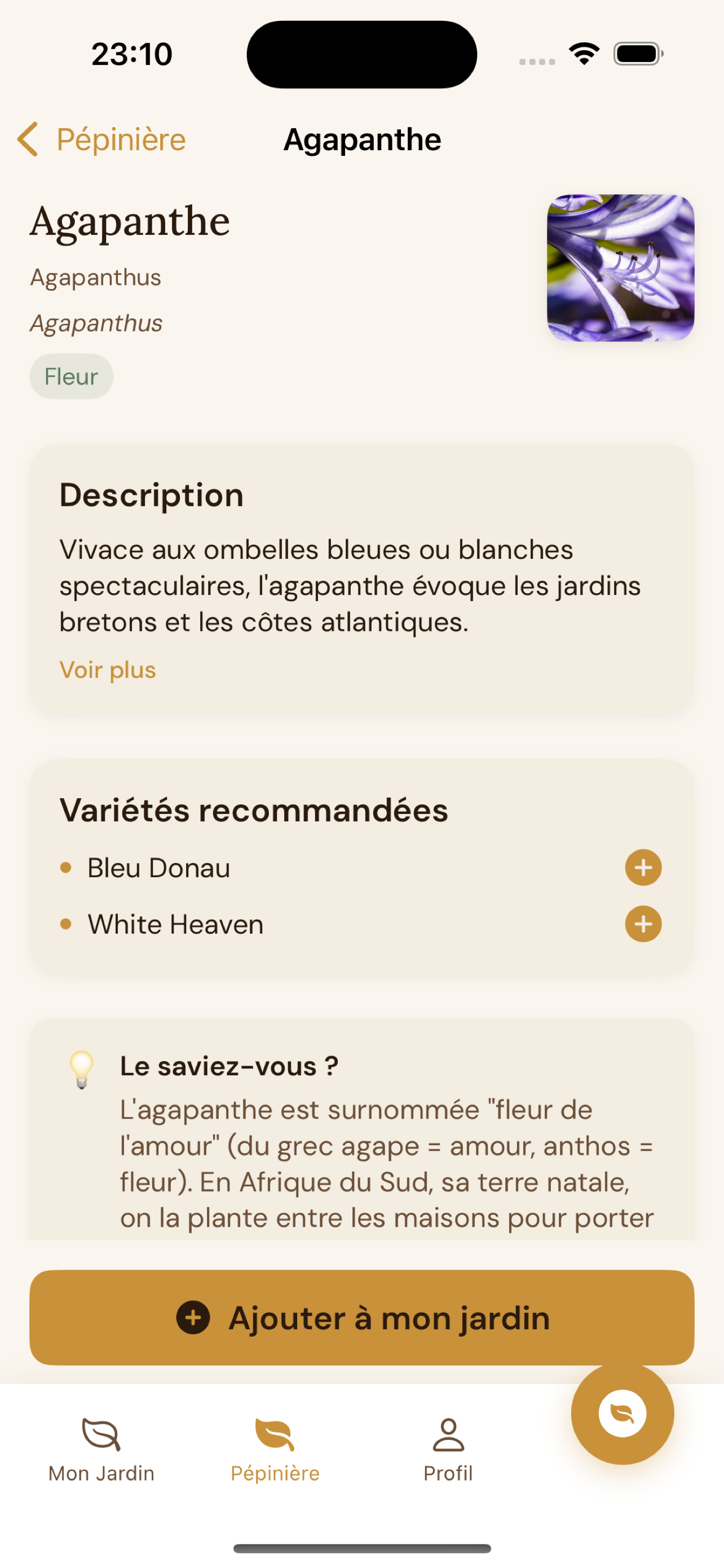 Tout savoir sur une plante