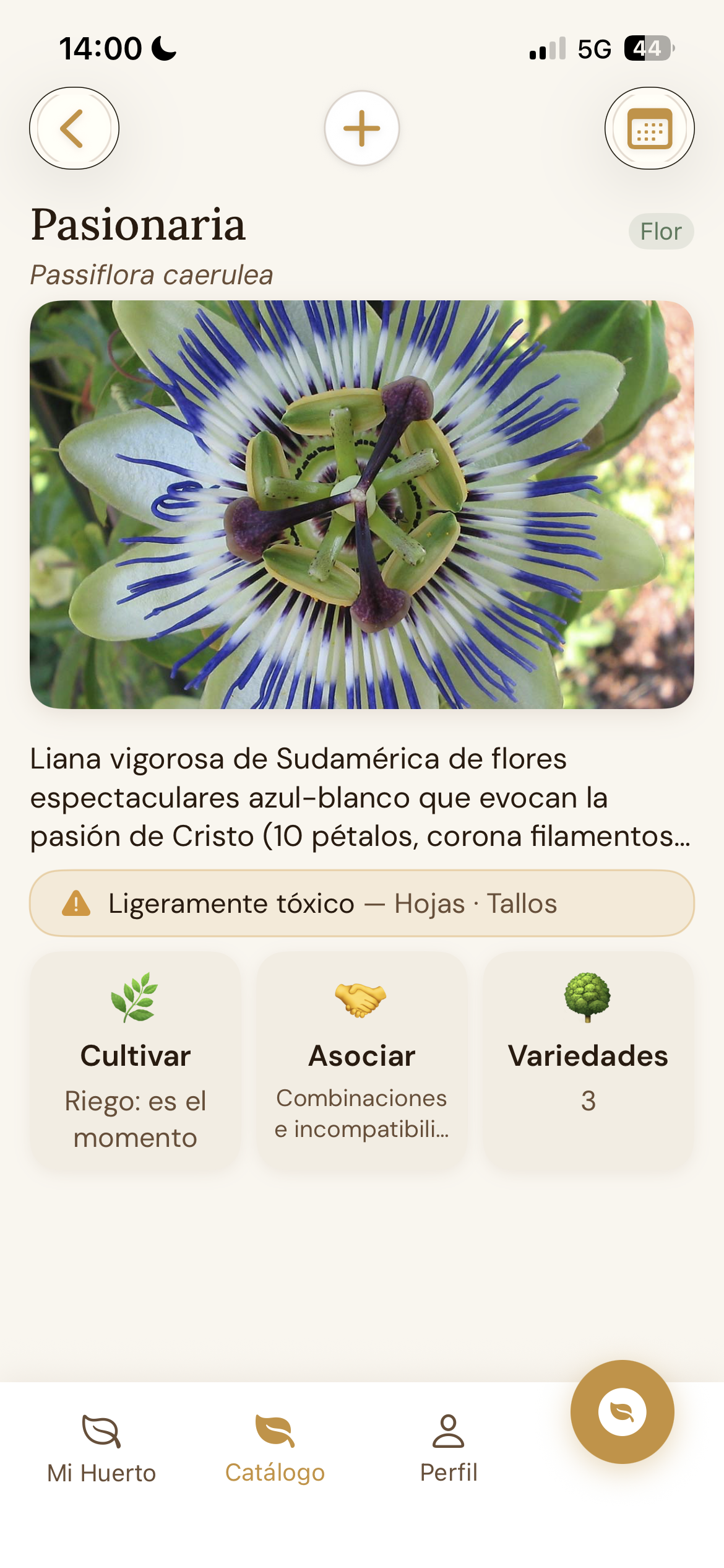 Todo lo que hay que saber sobre una planta