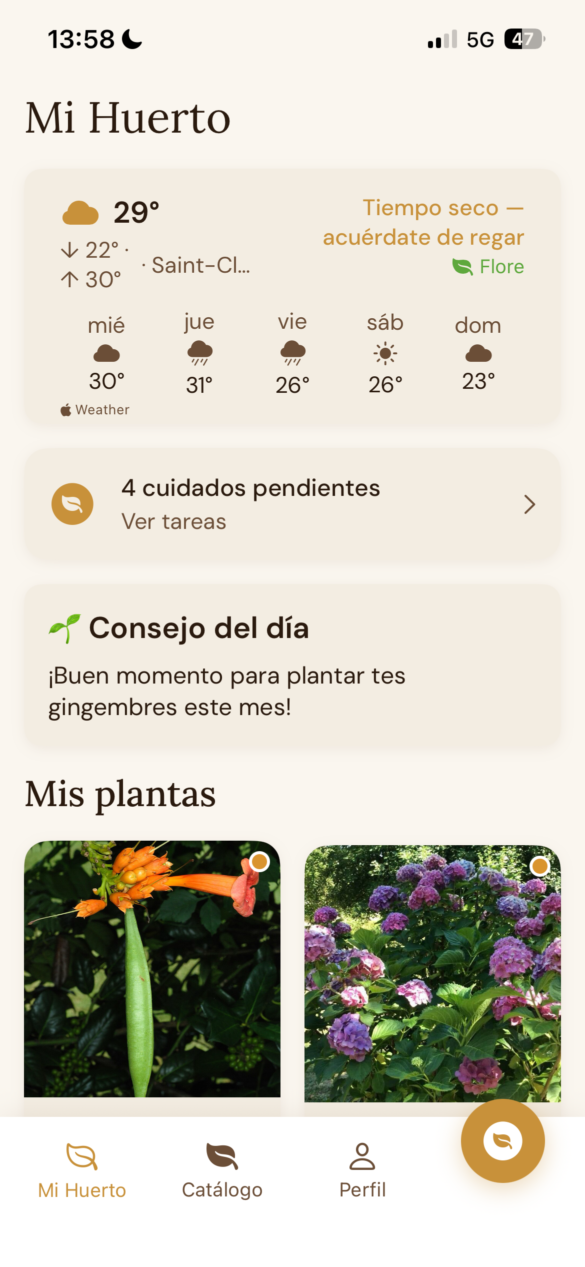Mi huerto en FloreSage: plantas, bancales, condiciones